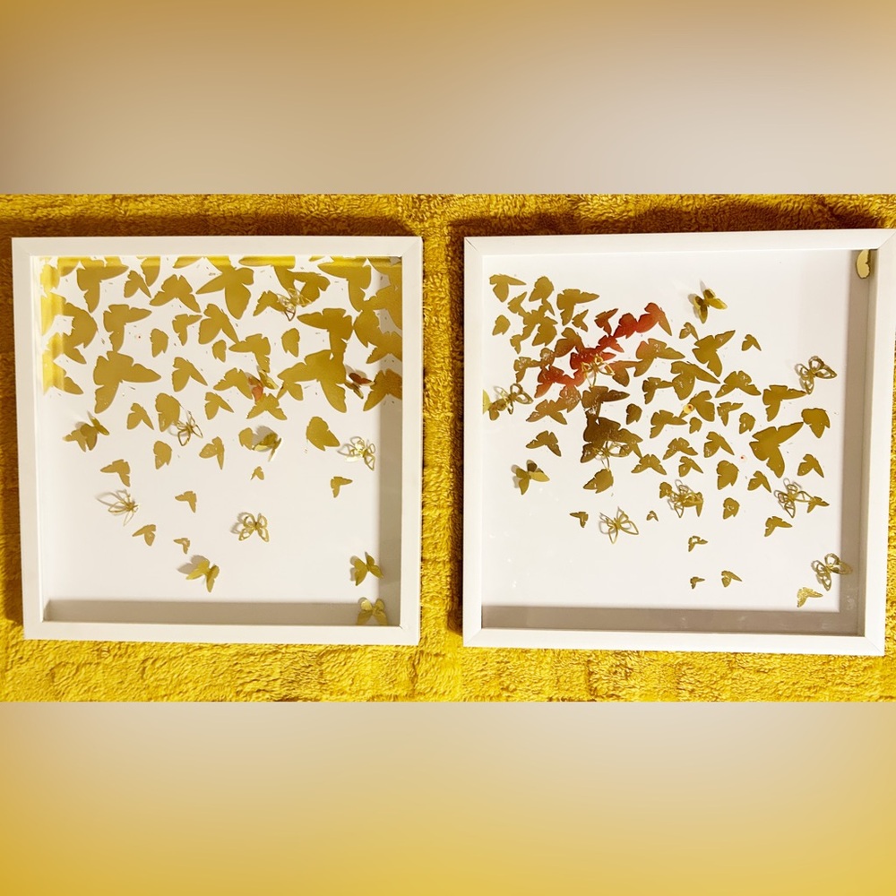 Two 3D butterfly framed art.